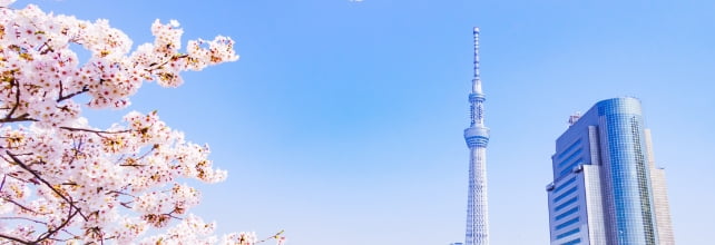 banner iconicjob